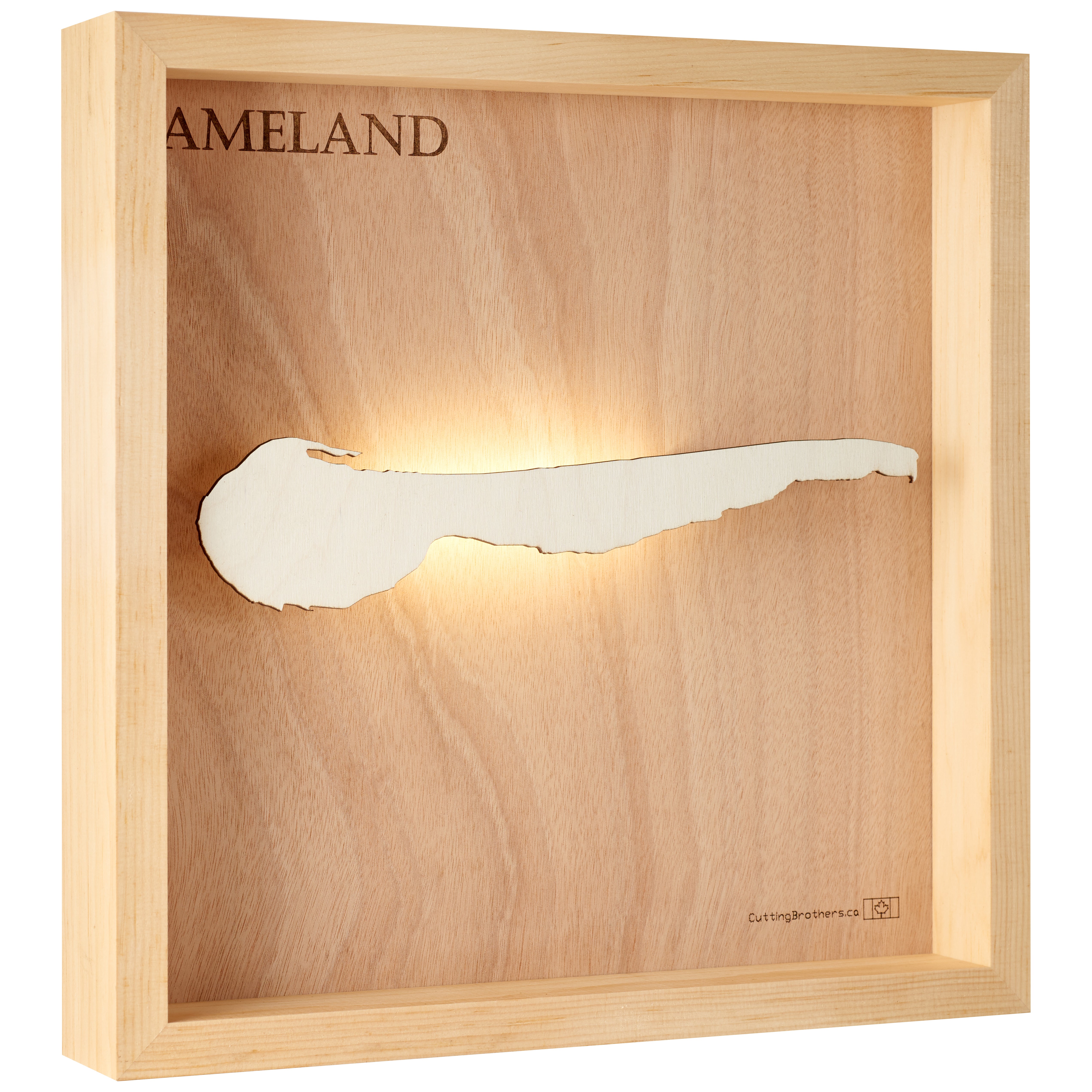 AMELAND 3D Holz INSEL LICHT KARTE (LED)